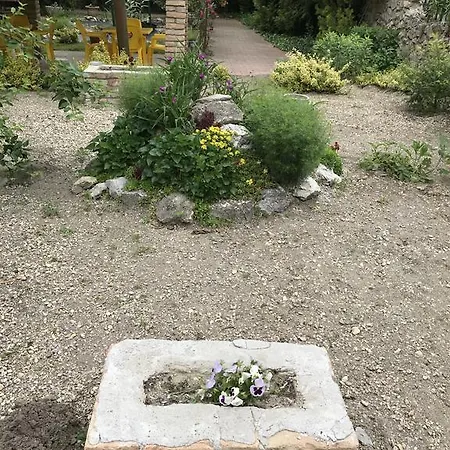 Vendégház Aranyhal Panzio Es Etterem *