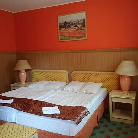 Aranyhal Panzio Es Etterem * Balatonberény