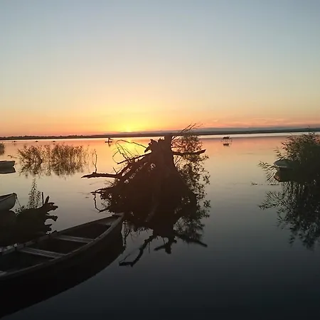 Aranyhal Panzio Es Etterem * Balatonberény